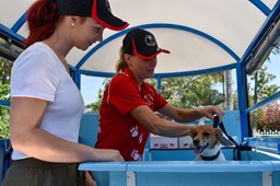 Aussie Pooch Mobile franchise business opportunity mobile dog pet dog wash franchise